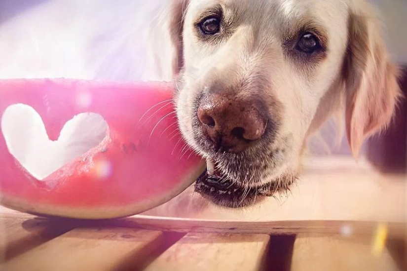 Amor incondicional Amor incondicional