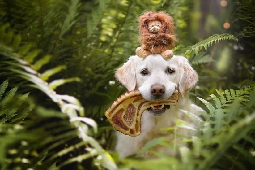 Amor incondicional Amor incondicional