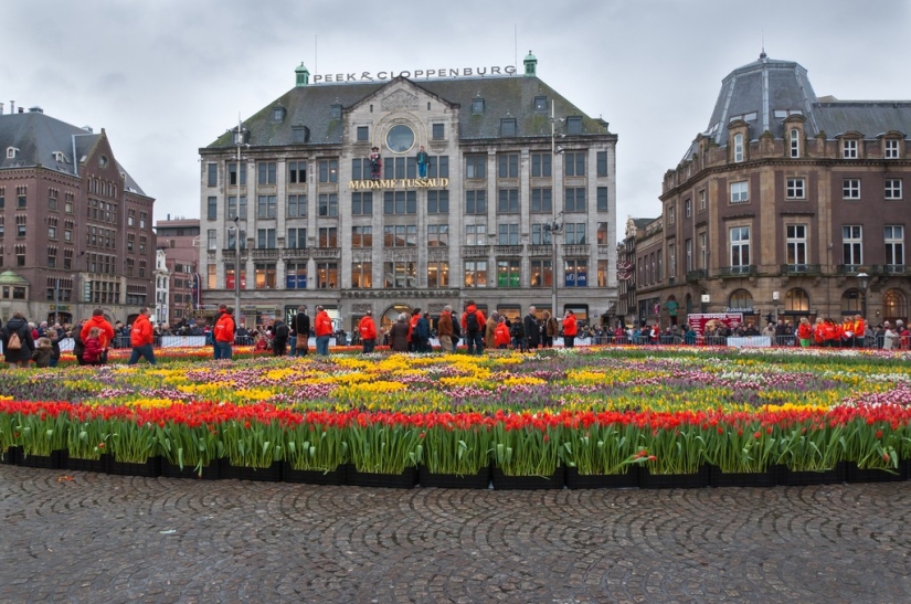 Amsterdam in numbers and photos Amsterdam in numbers and photos