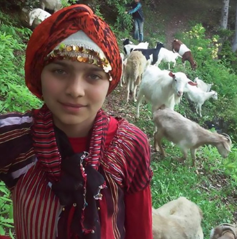 An 11-year-old girl with a dog rescued a goat and her cub in the mountains