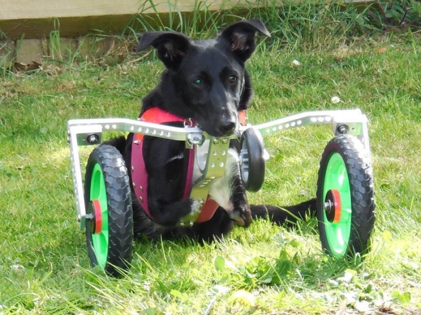 An amazing story about how Ru came to success - on wheels!