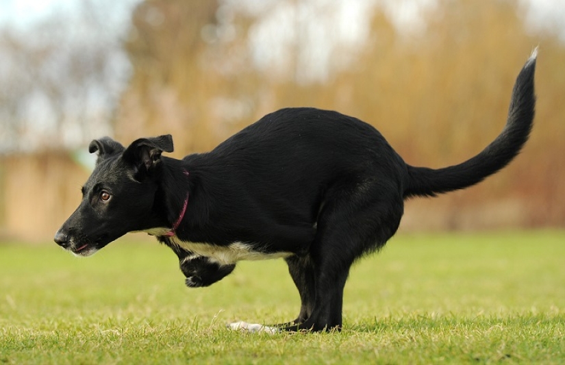 An amazing story about how Ru came to success - on wheels!
