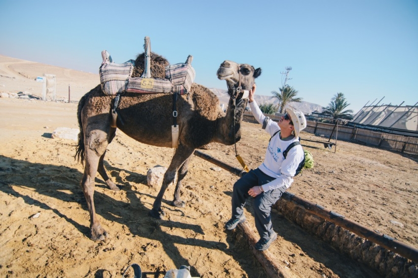 Aún decide: iremos a Israel en 2017 Aún decide: iremos a Israel en 2017