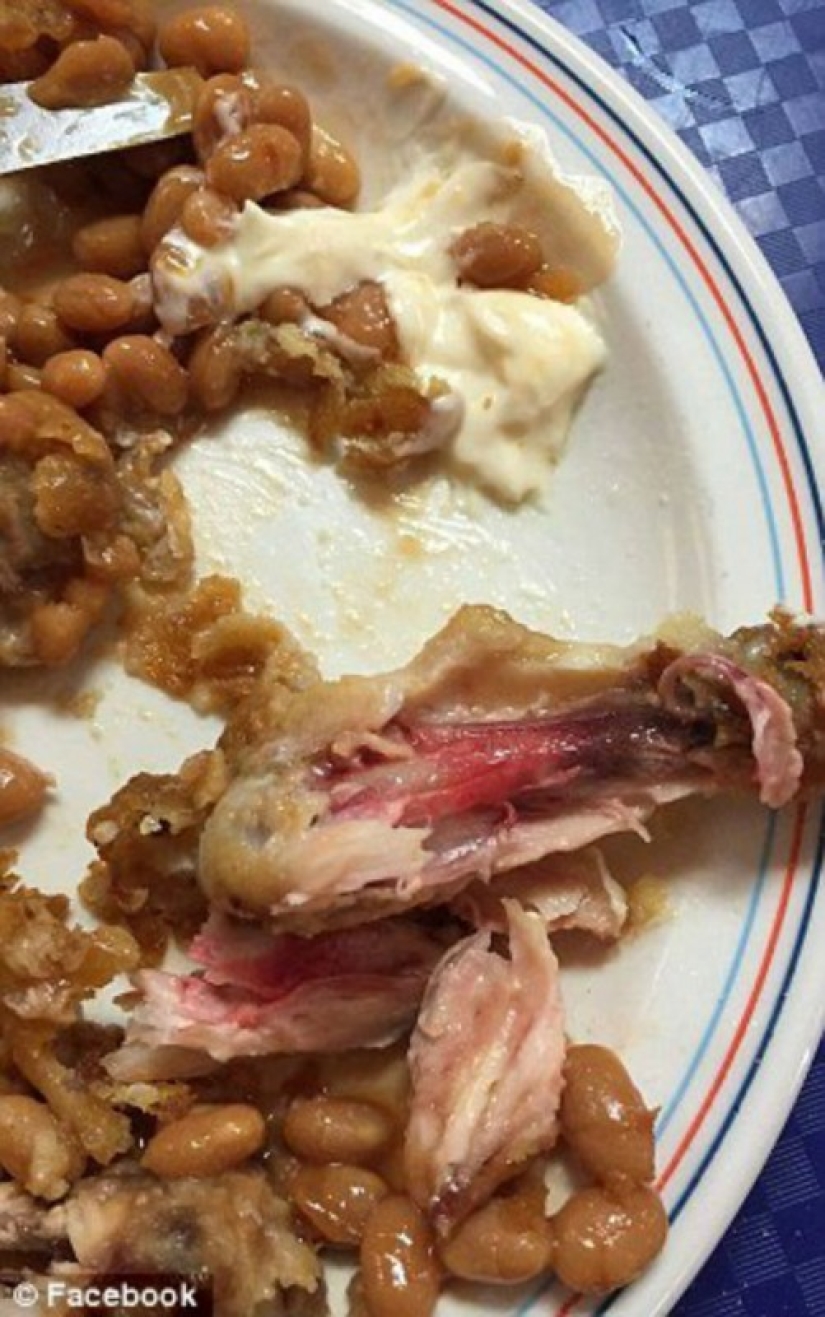 An omelet with mold, rotten apples and raw chicken — what else is fed in the British army An omelet with mold, rotten apples and raw chicken — what else is fed in the British army