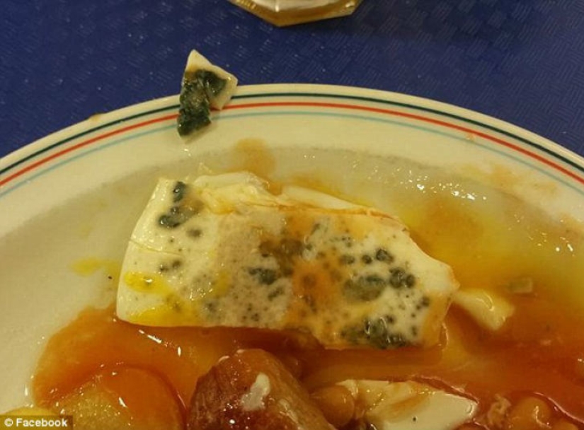 An omelet with mold, rotten apples and raw chicken — what else is fed in the British army An omelet with mold, rotten apples and raw chicken — what else is fed in the British army