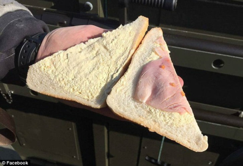 An omelet with mold, rotten apples and raw chicken — what else is fed in the British army An omelet with mold, rotten apples and raw chicken — what else is fed in the British army