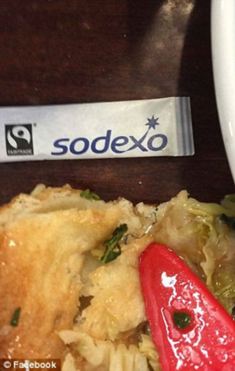 An omelet with mold, rotten apples and raw chicken — what else is fed in the British army An omelet with mold, rotten apples and raw chicken — what else is fed in the British army