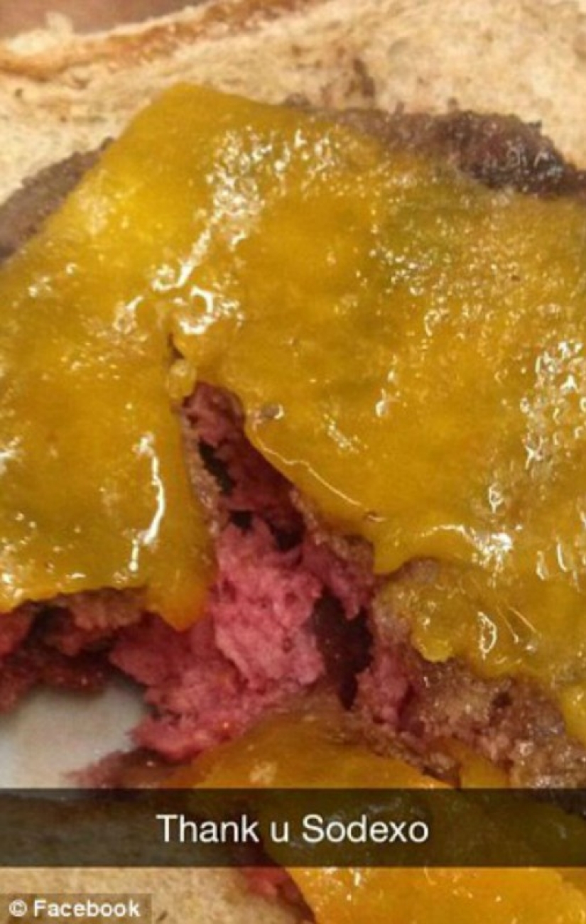 An omelet with mold, rotten apples and raw chicken — what else is fed in the British army An omelet with mold, rotten apples and raw chicken — what else is fed in the British army