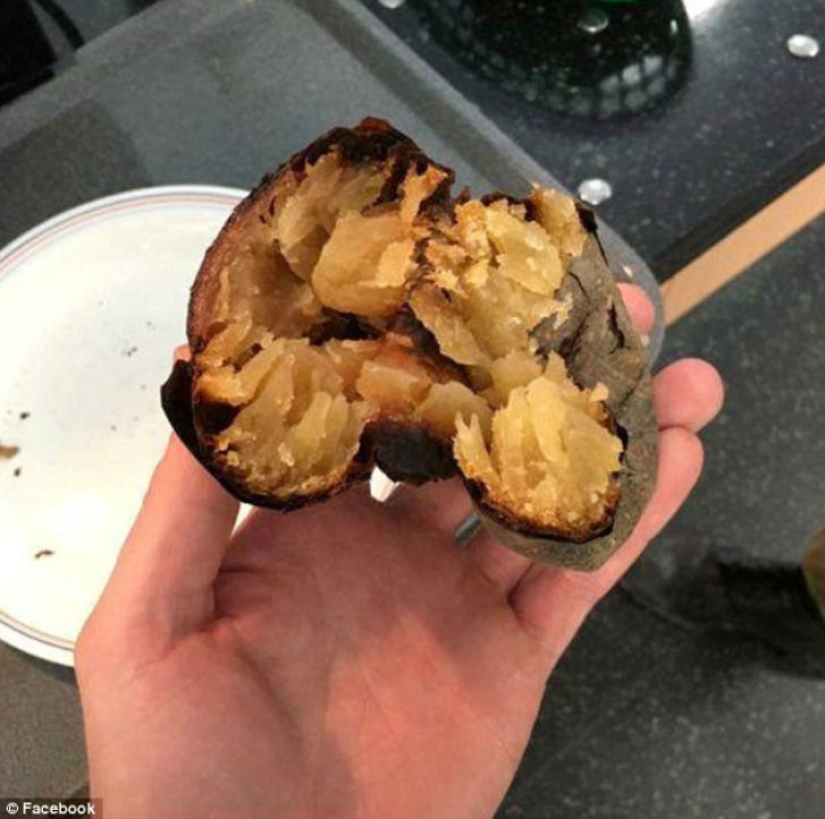 An omelet with mold, rotten apples and raw chicken — what else is fed in the British army An omelet with mold, rotten apples and raw chicken — what else is fed in the British army