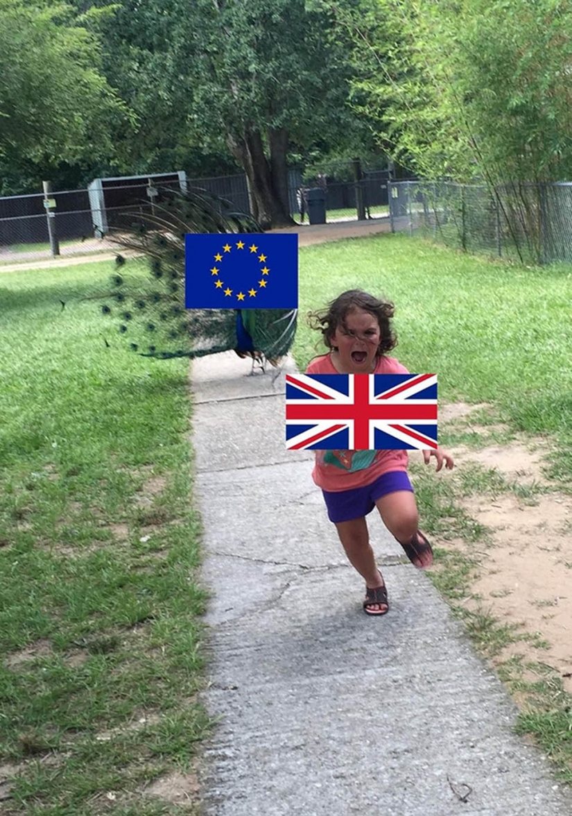 An unsuccessful trip to the zoo gave rise to a meme with a girl taking her feet away from a peacock An unsuccessful trip to the zoo gave rise to a meme with a girl taking her feet away from a peacock