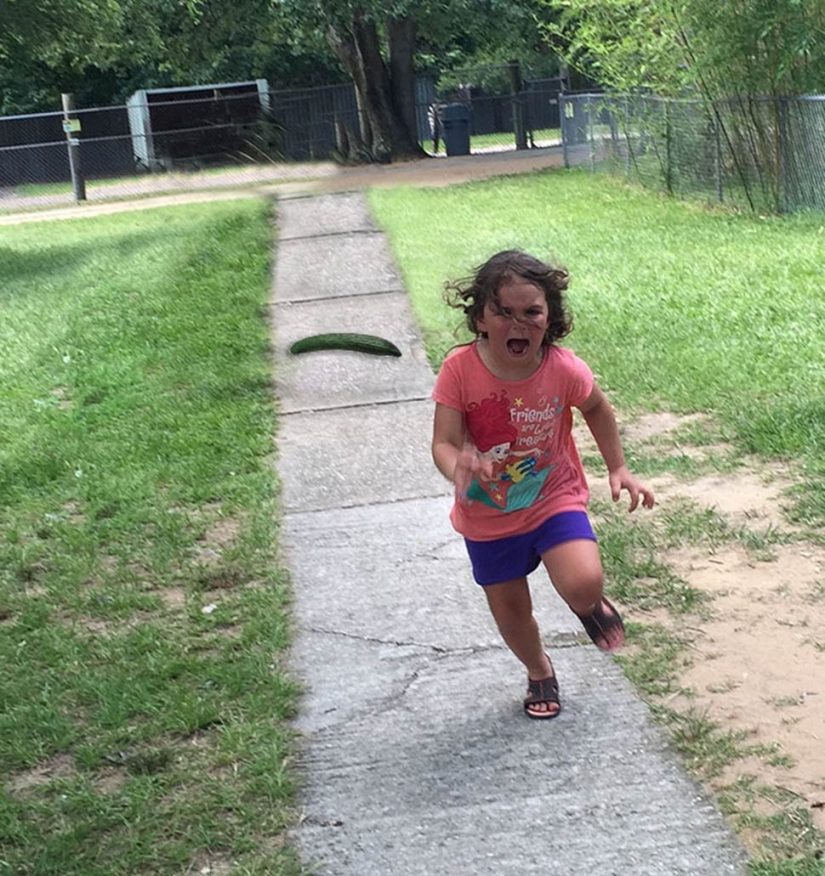 An unsuccessful trip to the zoo gave rise to a meme with a girl taking her feet away from a peacock An unsuccessful trip to the zoo gave rise to a meme with a girl taking her feet away from a peacock