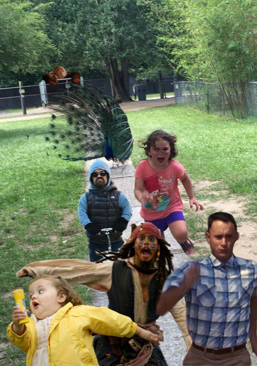 An unsuccessful trip to the zoo gave rise to a meme with a girl taking her feet away from a peacock An unsuccessful trip to the zoo gave rise to a meme with a girl taking her feet away from a peacock