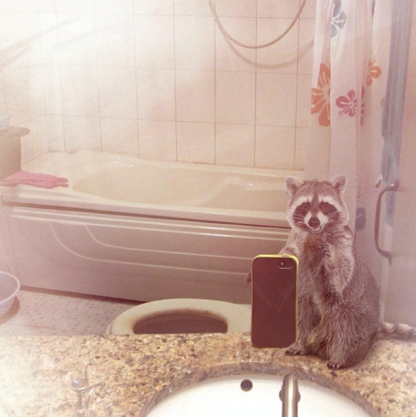 Animal Crossbow: Wildlife Selfie for National Geographic Animal Crossbow: Wildlife Selfie for National Geographic