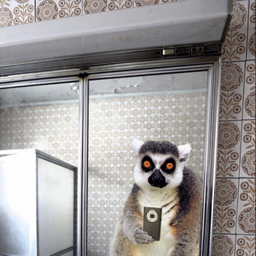 Animal Crossbow: Wildlife Selfie for National Geographic Animal Crossbow: Wildlife Selfie for National Geographic