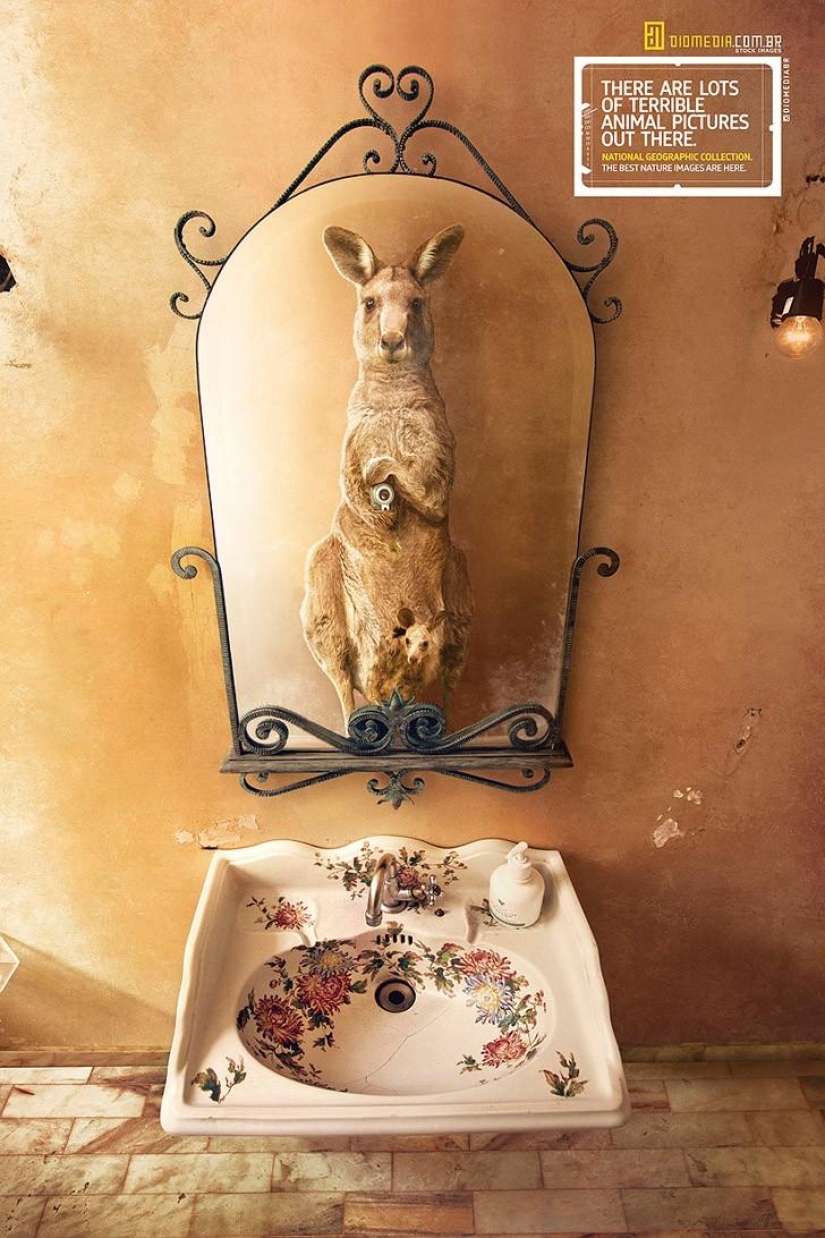 Animal Crossbow: Wildlife Selfie for National Geographic Animal Crossbow: Wildlife Selfie for National Geographic