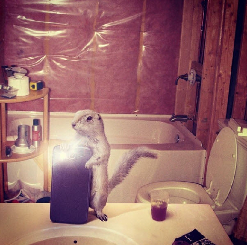 Animal Crossbow: Wildlife Selfie for National Geographic Animal Crossbow: Wildlife Selfie for National Geographic