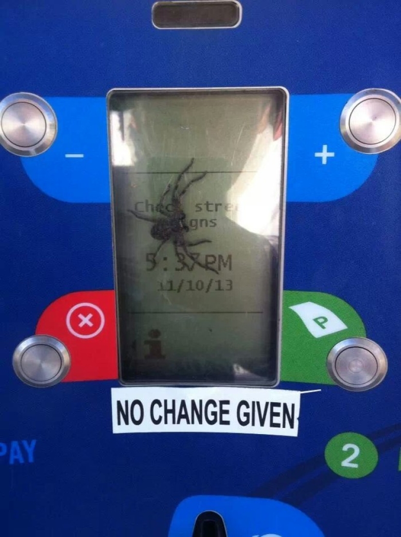 Animales australianos a los que no les importan tus estereotipos