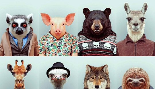 animales con ropa