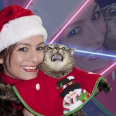 Animales que no soportan la Navidad y el Año Nuevo