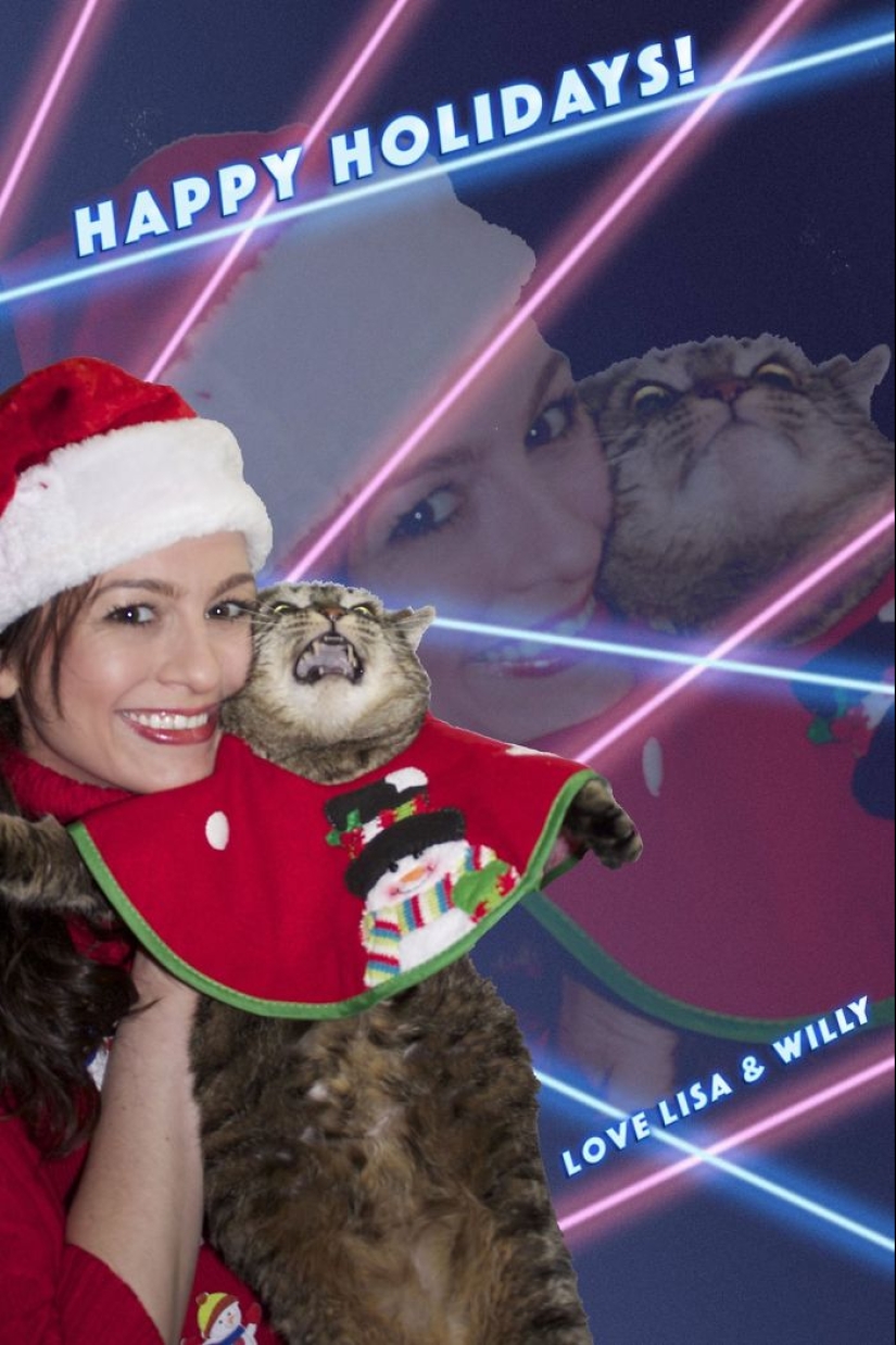 Animales que no soportan la Navidad y el Año Nuevo