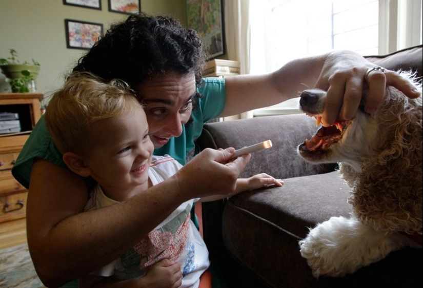 Animals and people