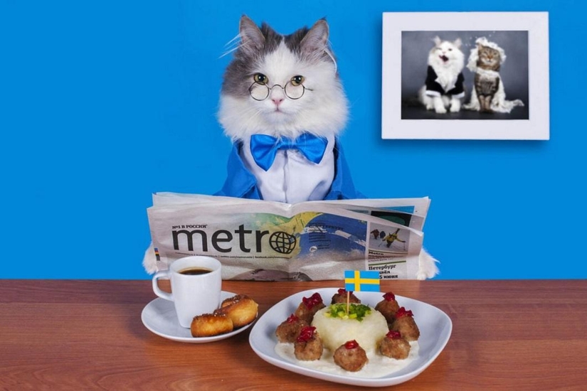 Animals as humans Animals as humans