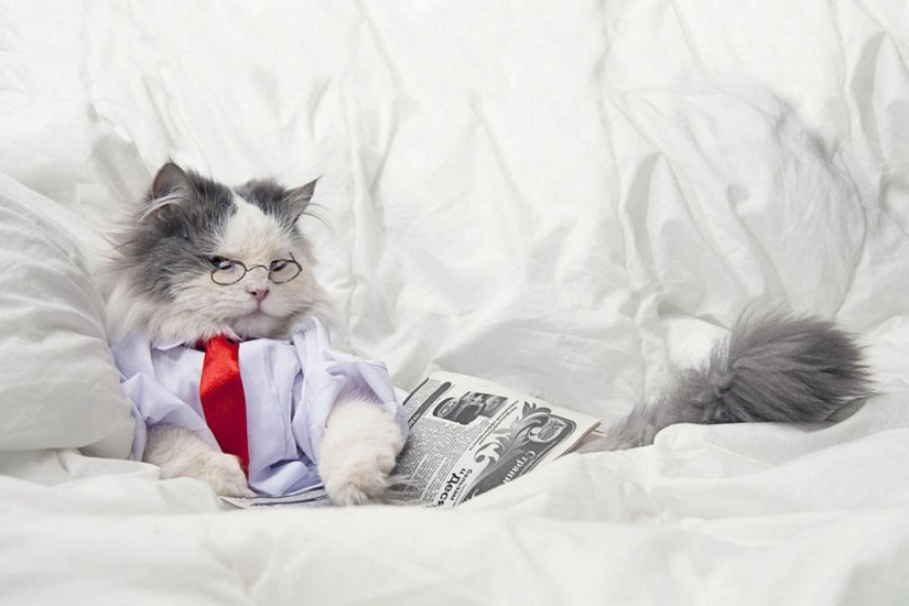 Animals as humans Animals as humans