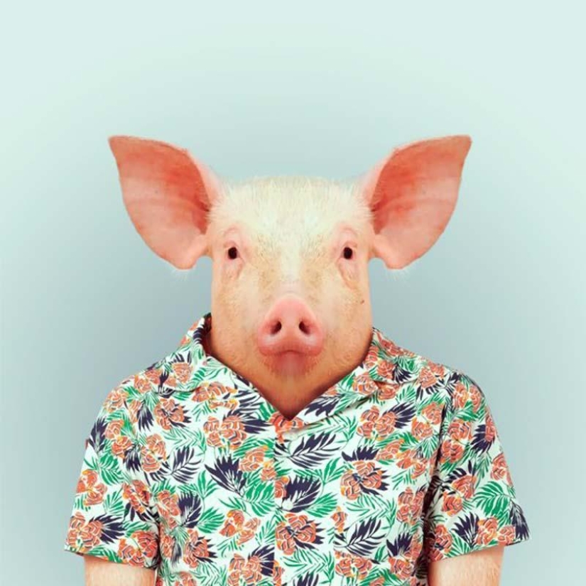 Animals in clothes