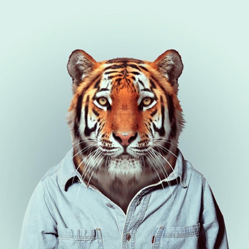 Animals in clothes