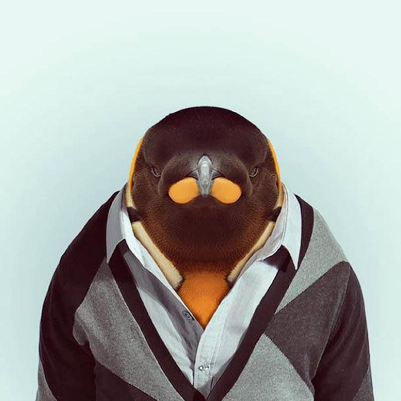 Animals in clothes