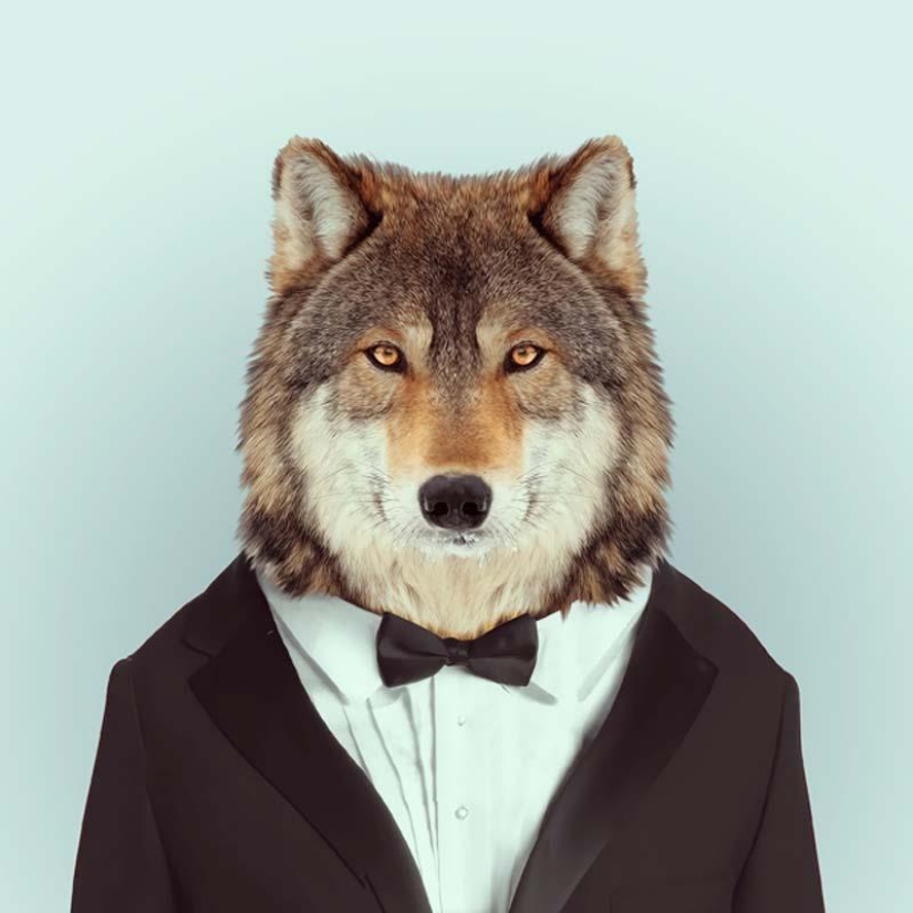 Animals in clothes