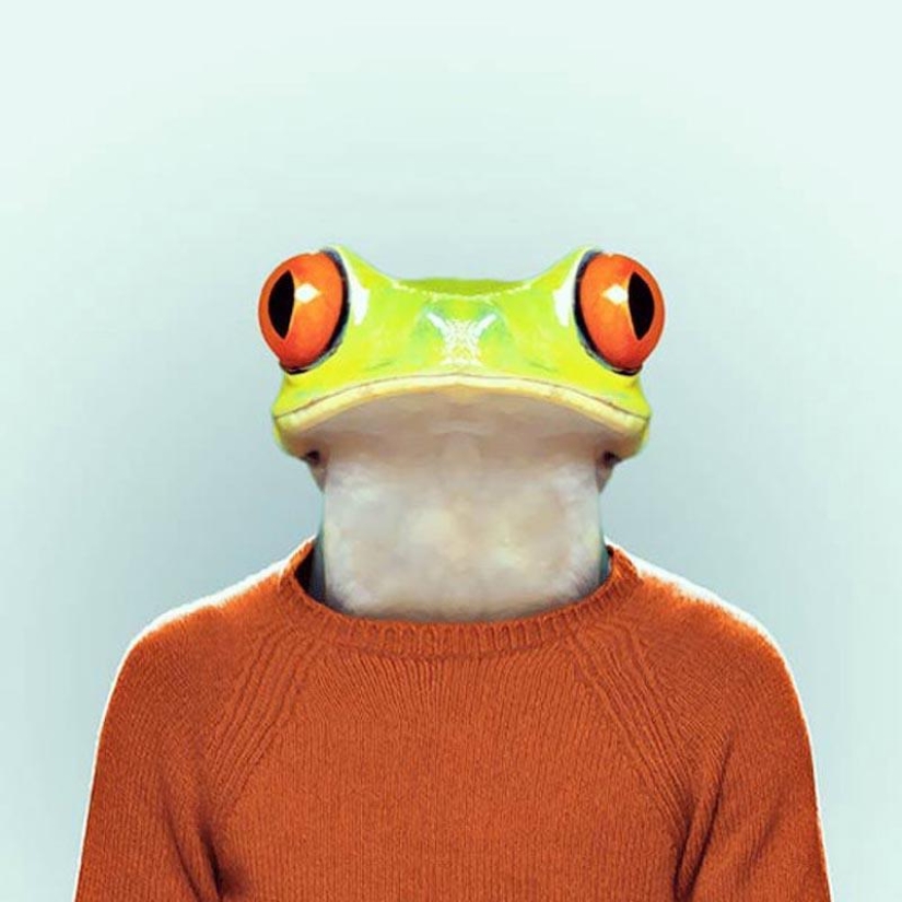 Animals in clothes