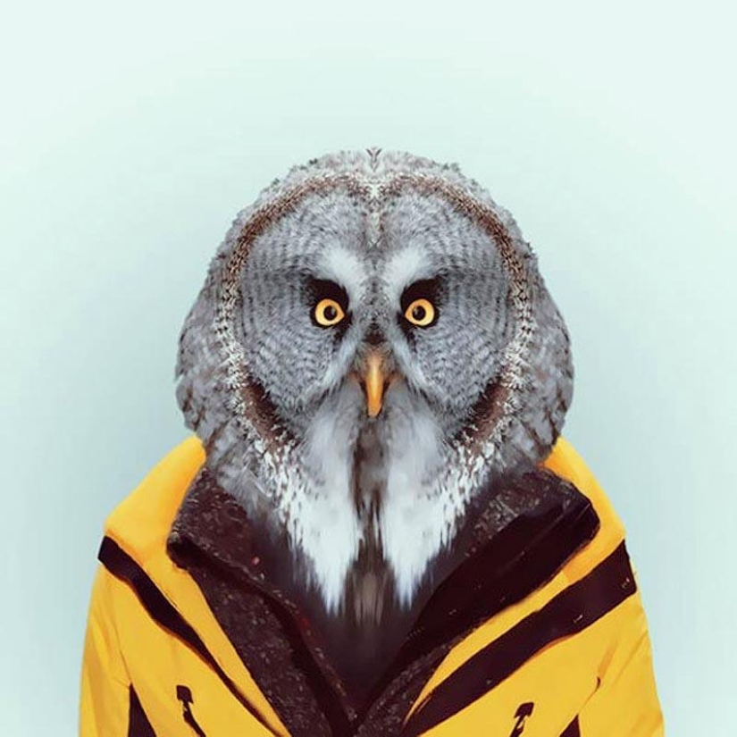 Animals in clothes