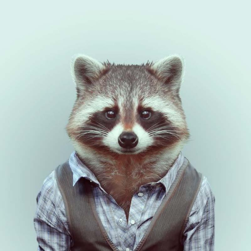 Animals in clothes