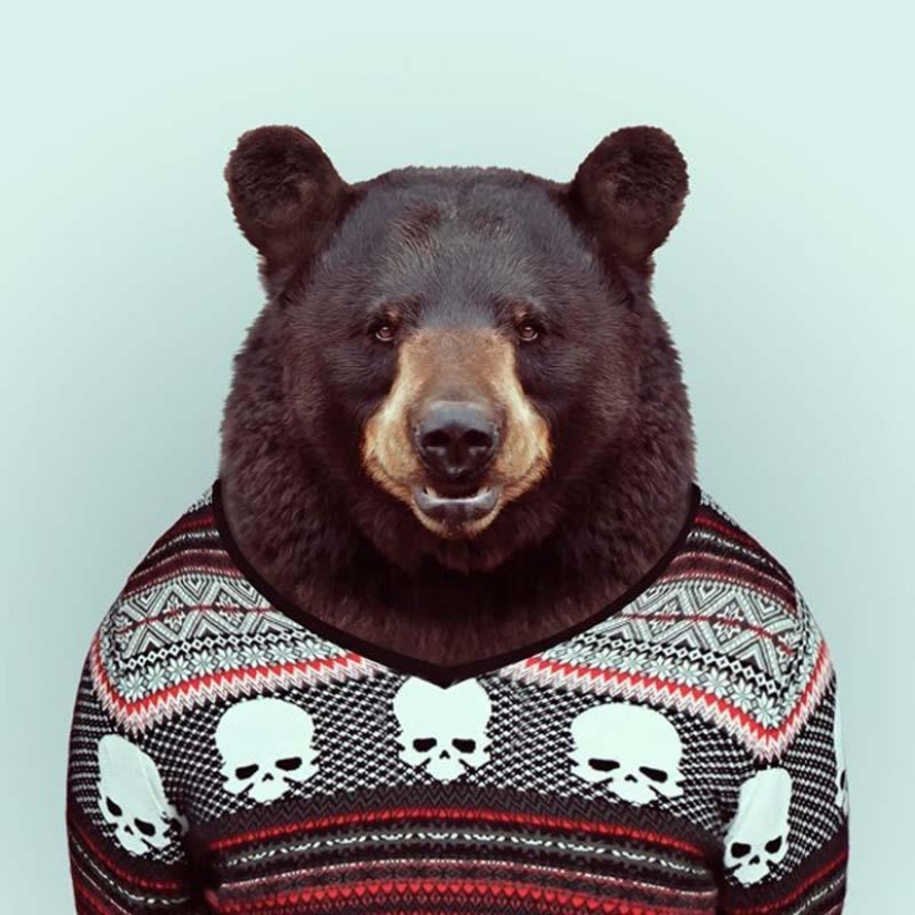 Animals in clothes
