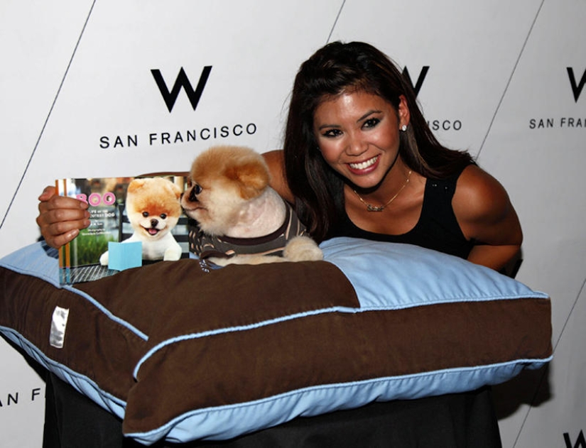 Animals that blew up the Internet Animals that blew up the Internet