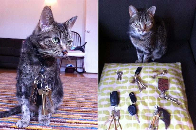 Animals that blew up the Internet Animals that blew up the Internet