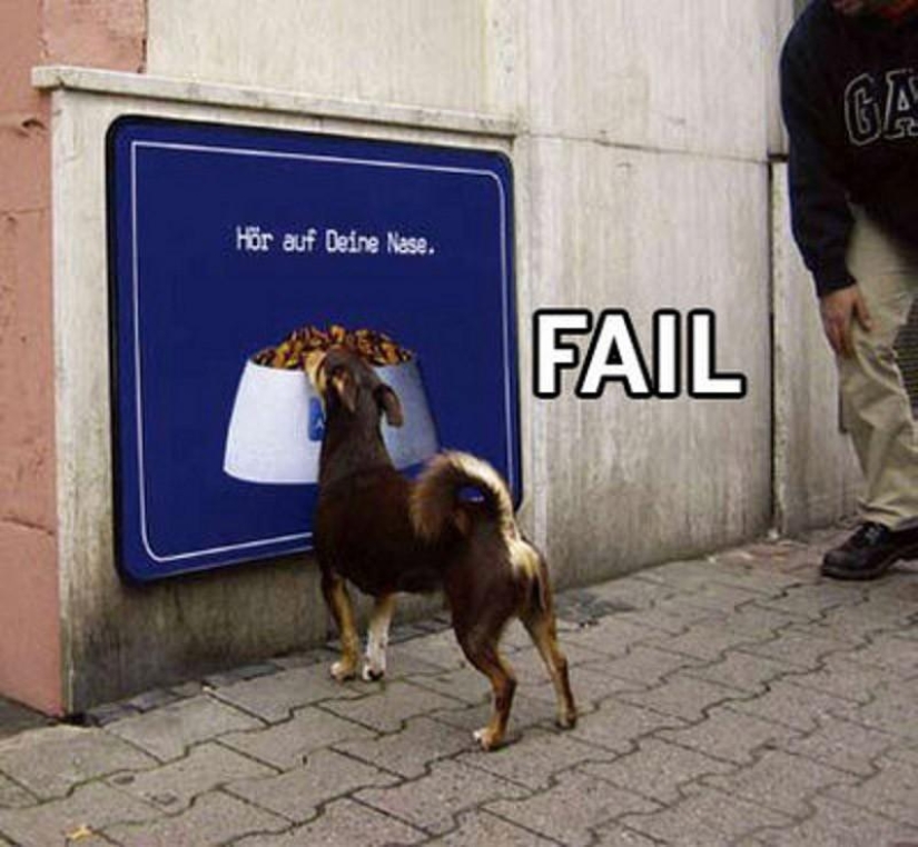 Animals that don&#39;t have a good day