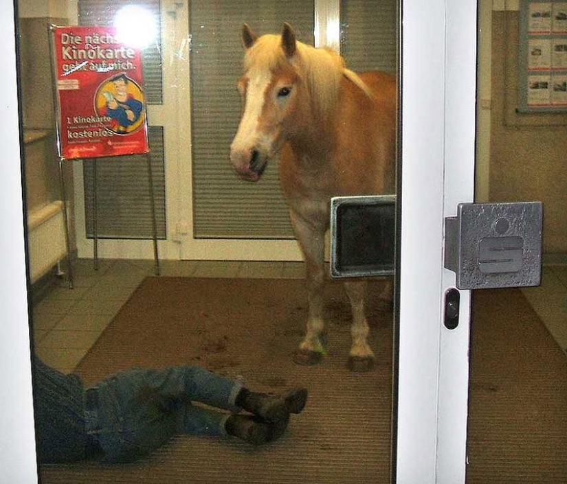 Animals that don&#39;t have a good day