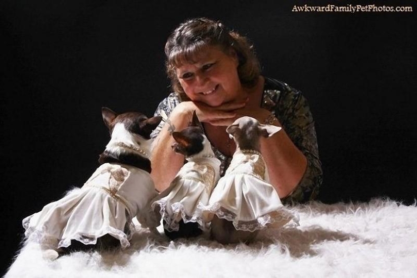 Animals that don&#39;t have a good day