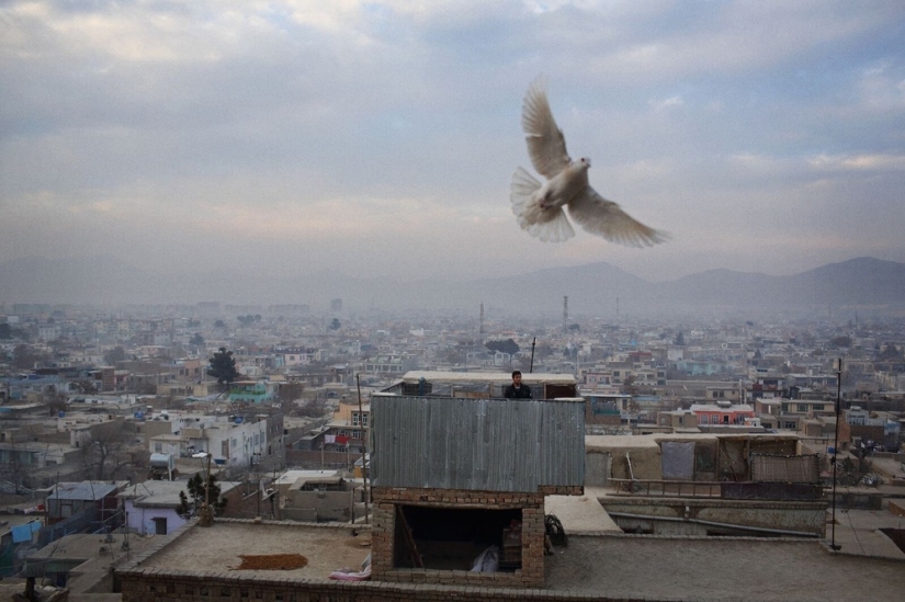 Another day of the war in Afghanistan