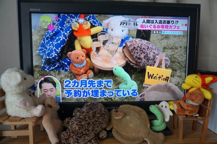 Another Japanese madness: cafe for plush toys