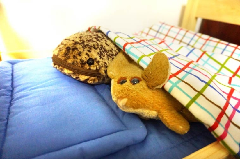 Another Japanese madness: cafe for plush toys