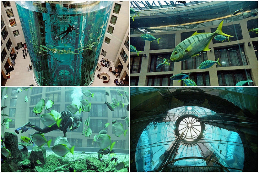 Aquadom - un enorme acuario en el Radisson Blu Hotel