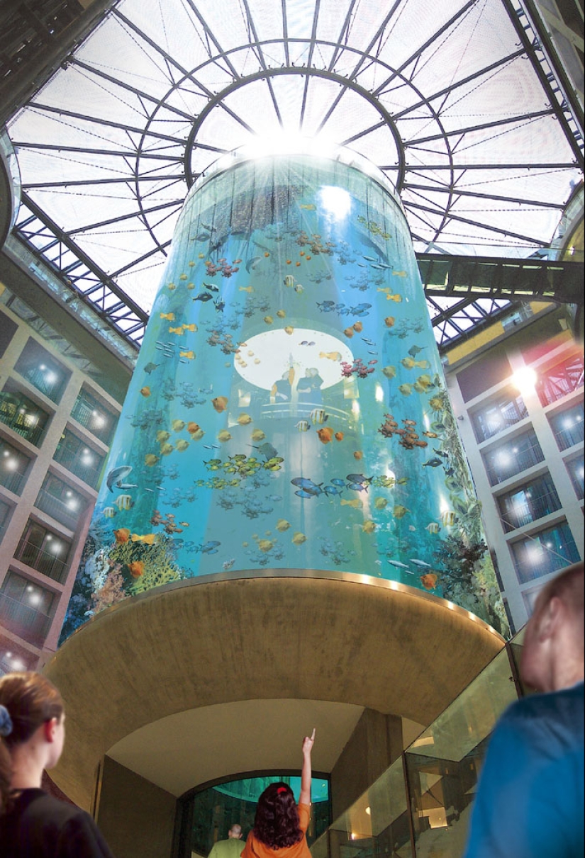 Aquadom - un enorme acuario en el Radisson Blu Hotel