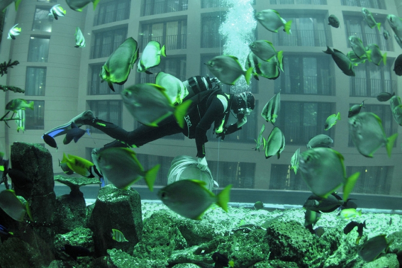 Aquadom - un enorme acuario en el Radisson Blu Hotel