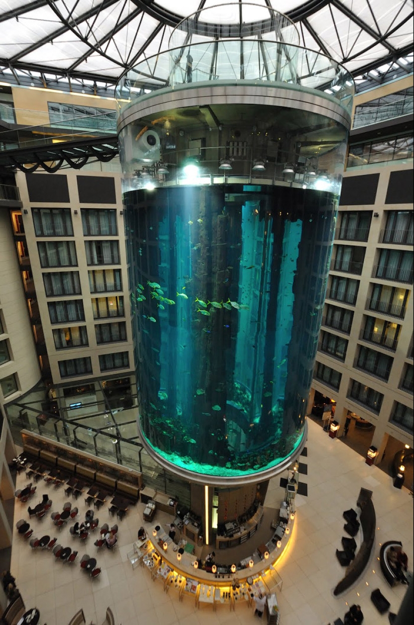 Aquadom - un enorme acuario en el Radisson Blu Hotel