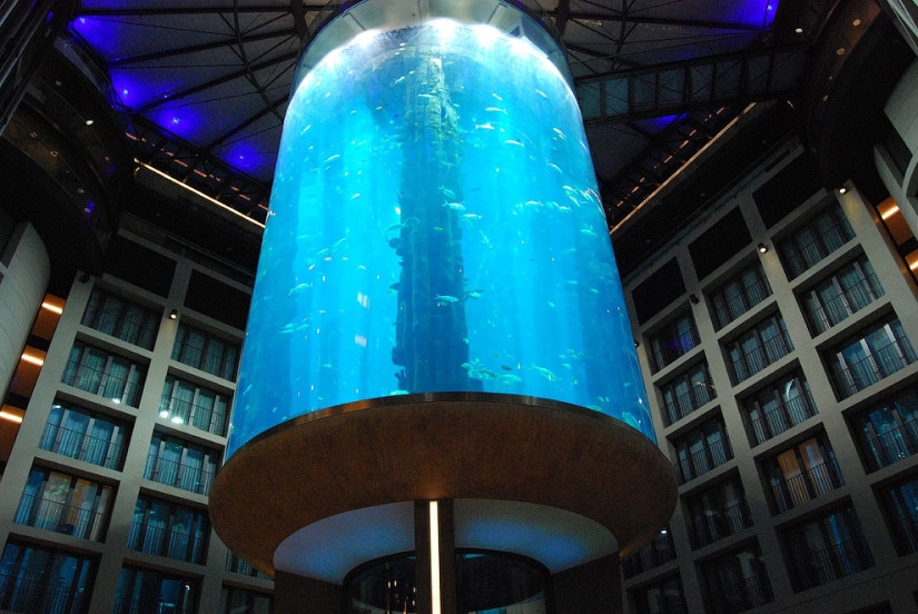 Aquadom - un enorme acuario en el Radisson Blu Hotel