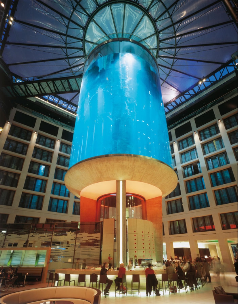 Aquadom - un enorme acuario en el Radisson Blu Hotel