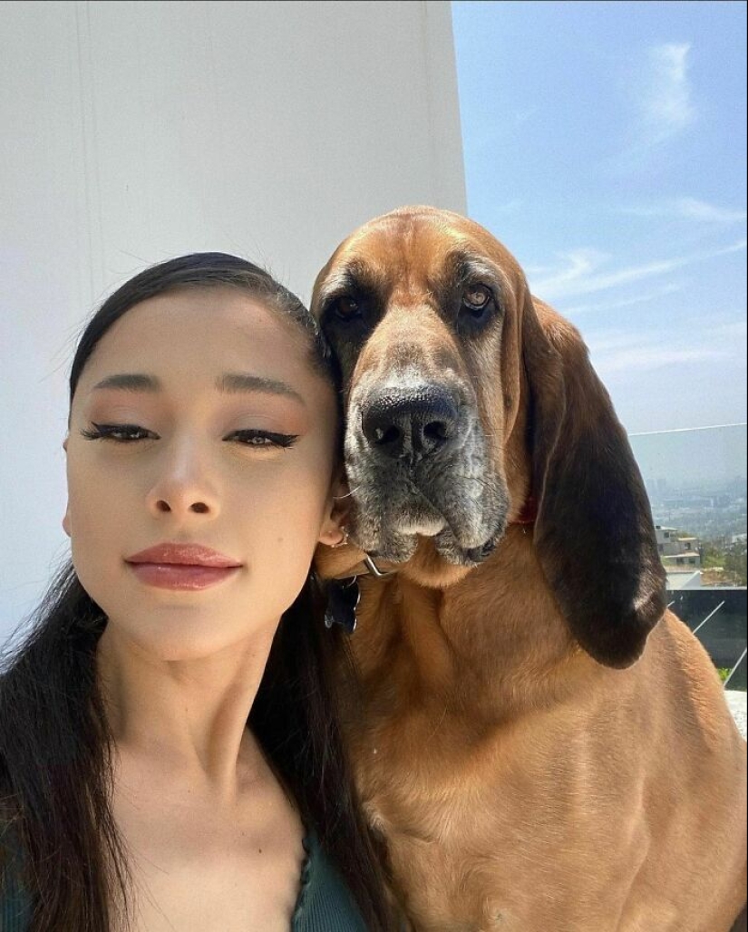Ariana Grande admite haber usado Botox y rellenos de labios para cambiar su apariencia en el pasado